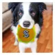 Product Pets First Seattle Krakens Plush Hamburger Dog Toy