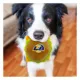 Product Pets First Los Angeles Rams Plush Hamburger Dog Toy
