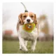 Product Pets First Los Angeles Rams Plush Hamburger Dog Toy