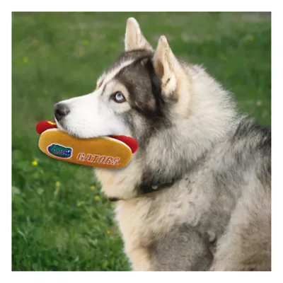 Product Pets First Florida Gators Plush Hot Dog Dog Toy