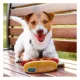 Product Pets First Florida Gators Plush Hot Dog Dog Toy
