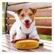 Product Pets First Texas Longhorns Plush Hot Dog Dog Toy