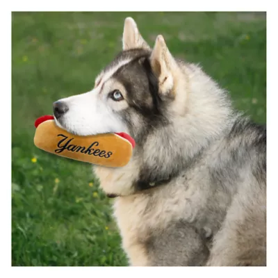 Product Pets First New York Yankees Plush Hot Dog Dog Toy