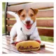 Product Pets First Atlanta Braves Plush Hot Dog Dog Toy