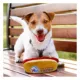 Product Pets First Philadelphia 76ers Plush Hot Dog Dog Toy