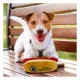 Product Pets First Boston Bruins Plush Hot Dog Dog Toy