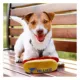 Product Pets First St. Louis Blues Plush Hot Dog Dog Toy