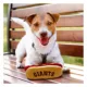 Product Pets First San Francisco Giants Plush Hot Dog Dog Toy