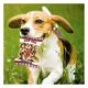 Product Pets First Boston Red Sox Plush Peanut Bag Dog Toy