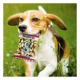 Product Pets First Seattle Mariners Plush Peanut Bag Dog Toy