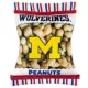 Product Pets First Michigan Wolverines Plush Peanut Bag Dog Toy