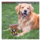 Product Pets First Georgia Bulldogs Plush Peanut Bag Dog Toy