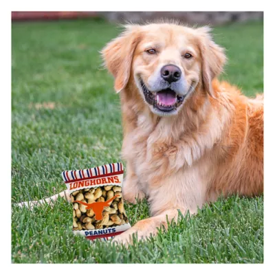 Product Pets First Texas Longhorns Plush Peanut Bag Dog Toy