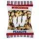 Product Pets First Wisconsin Badgers Plush Peanut Bag Dog Toy