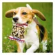 Product Pets First Alabama Crimson Tide Plush Peanut Bag Dog Toy