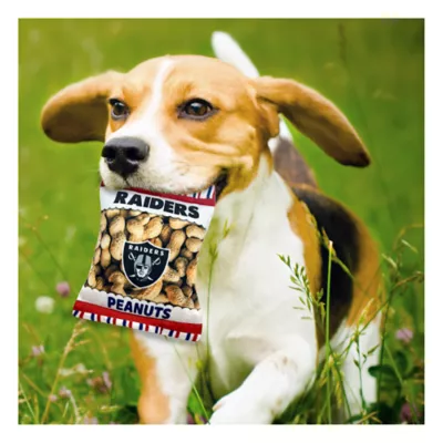 Product Pets First Las Vegas Raiders Plush Peanut Bag Dog Toy