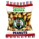 Product Pets First Boston Celtics Plush Peanut Bag Dog Toy