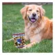 Product Pets First New York Rangers Plush Peanut Bag Dog Toy