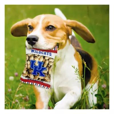 Product Pets First Kentucky Wildcats Plush Peanut Bag Dog Toy