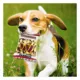 Product Pets First Washington Commanders Plush Peanut Bag Dog Toy