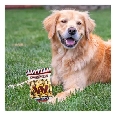 Product Pets First Washington Commanders Plush Peanut Bag Dog Toy