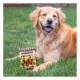 Product Pets First Washington Commanders Plush Peanut Bag Dog Toy