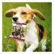 Product Pets First Las Vegas Golden Knights Plush Peanut Bag Dog Toy