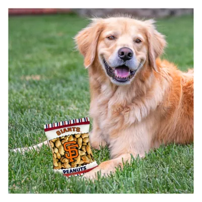 Product Pets First Philadelphia Phillies Plush Peanut Bag Dog Toy