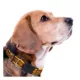 Product Pets First Washington Commanders Satin Ribbon Dog Collar