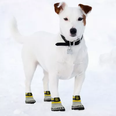 Product Pets First San Diego Padres Pet Socks