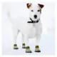 Product Pets First San Diego Padres Pet Socks