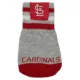 Product Pets First St. Louis Cardinals Pet Socks