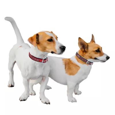 Product Pets First Boston Red Sox Reversible Dog Collar