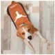 Product Pets First Texas Longhorns Puffer Pet Vest