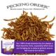 Product Pecking Order Dried Mealworms