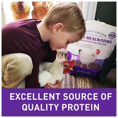 Product Pecking Order Dried Mealworms