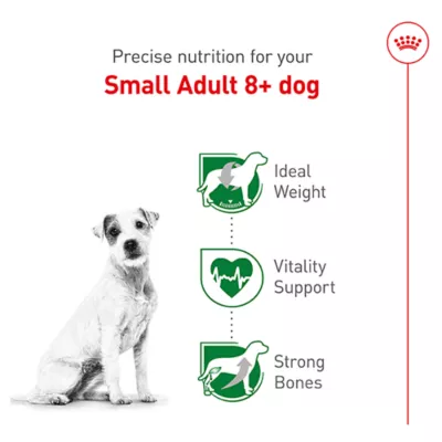 Product Royal Canin Size Health Nutrition Small Adult 8+ Dry Dog Food