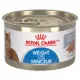 Product Royal Canin Feline Adult Wet Cat Food, Care Nutrition, Weight Care - Loaf in Sauce Pate