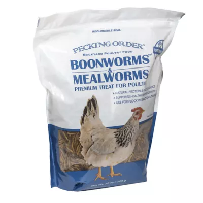 Product Pecking Order Boonworms & Mealworms