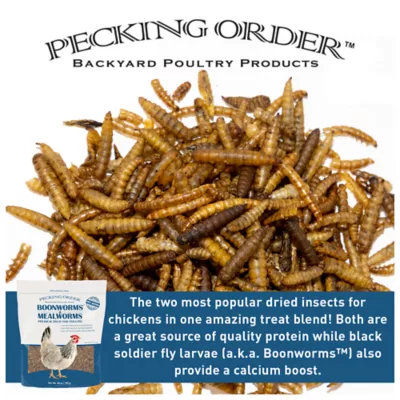 Product Pecking Order Boonworms & Mealworms