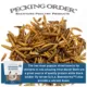 Product Pecking Order Boonworms & Mealworms