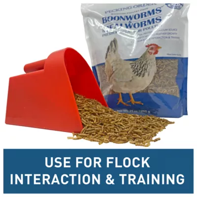 Product Pecking Order Boonworms & Mealworms