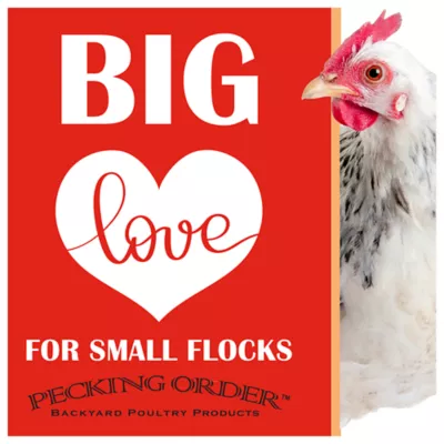 Product Pecking Order Boonworms & Mealworms