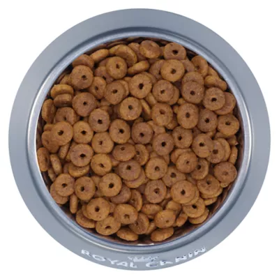 Product Royal Canin Feline Adult Dry Cat Food Health Nutrition, Fit And Active