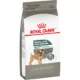 Product Royal Canin Canine Adult Dry Dog Food - Small Breed Dental Care Nutrition