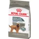 Product Royal Canin Canine Adult Dry Dog Food - Large Breed Dental Care Nutrition, 30 lb