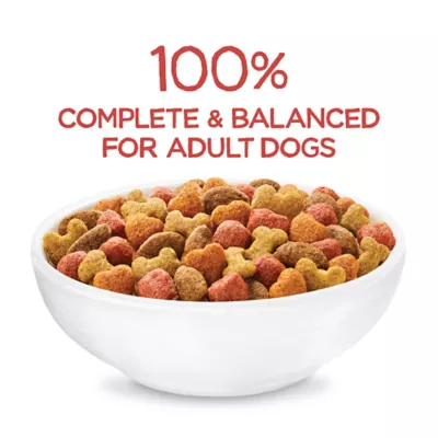 Product Purina Beneful Originals Adult Dog Dry Food - Natural, Salmon