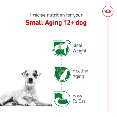 Product Royal Canin Size Health Nutrition Small Aging 12+ Dog Food