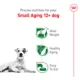 Product Royal Canin Size Health Nutrition Small Aging 12+ Dog Food