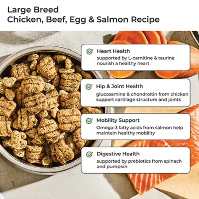 Product FreshPet Vital Large Breed Adult Fresh Dog Food - Chicken, Beef, Egg & Salmon Recipe 5 LB